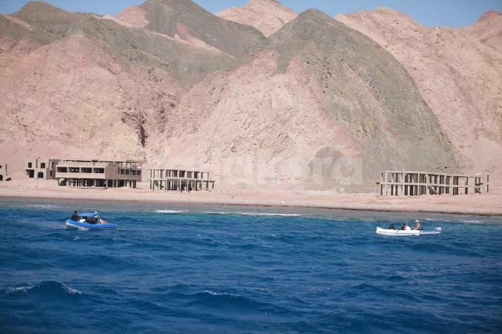 انطلاق فعالية بالسباحة نحيا